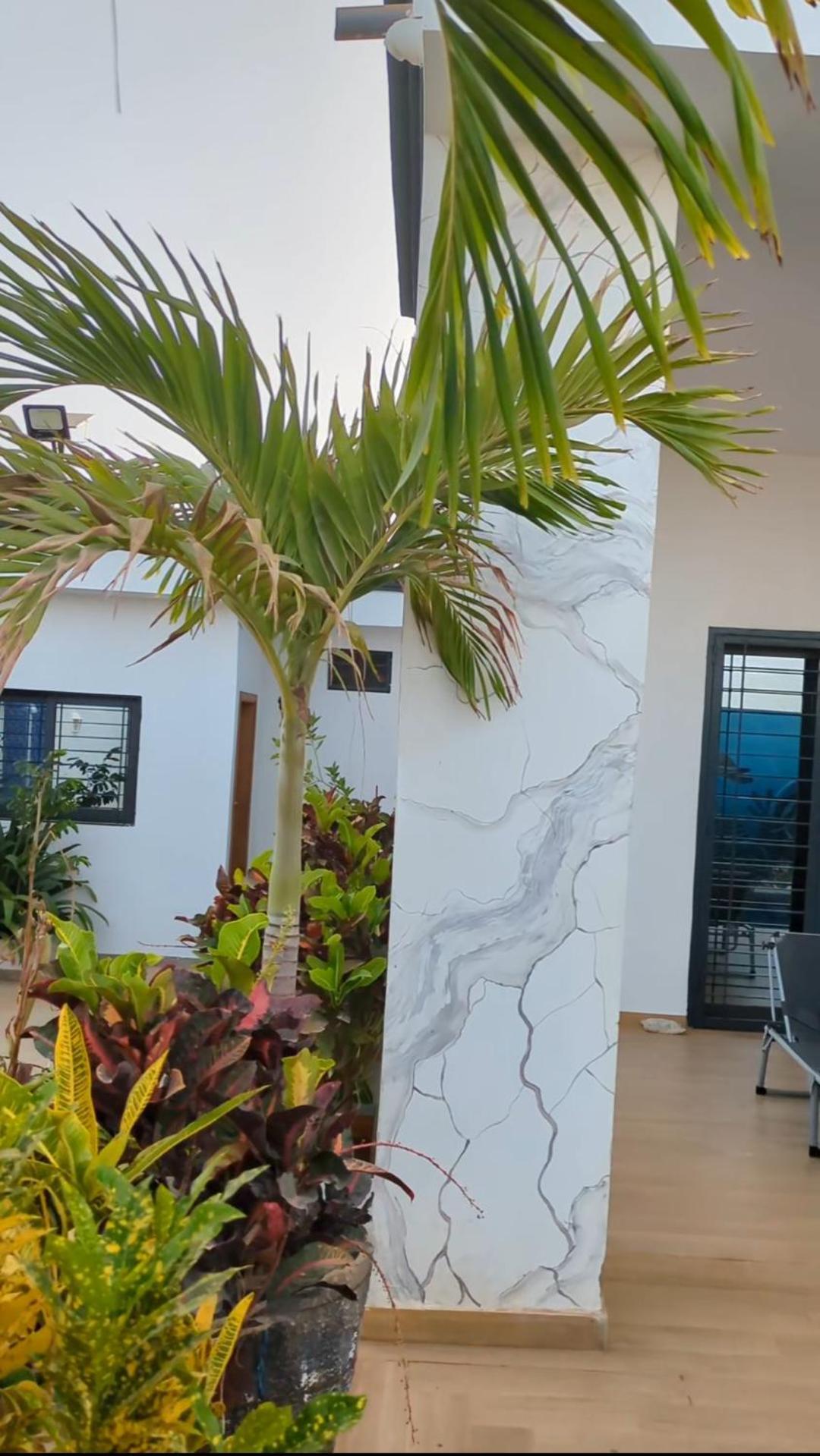 Villa Hawa, Decor Unique & Piscine Somone Dış mekan fotoğraf
