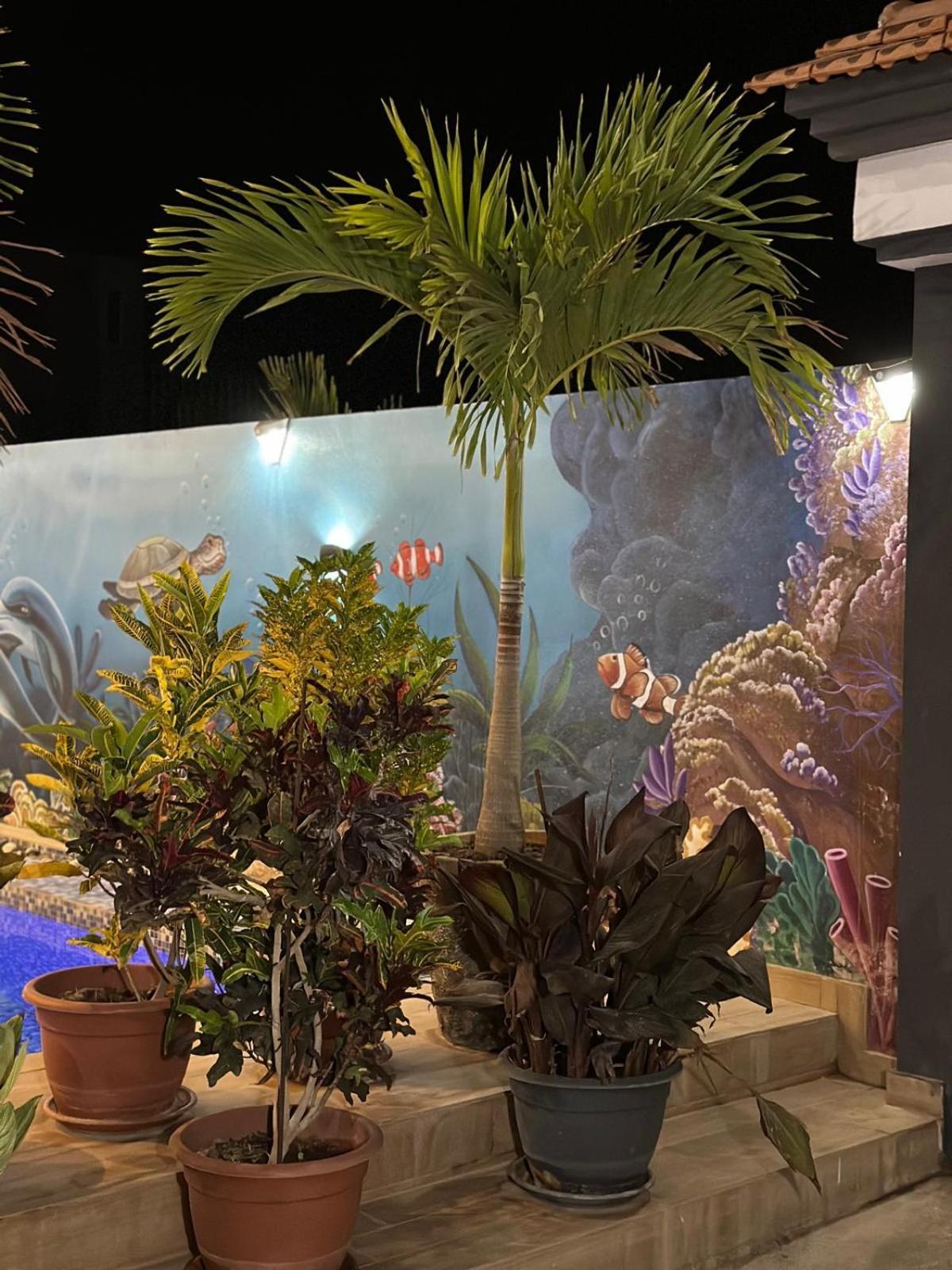 Villa Hawa, Decor Unique & Piscine Somone Dış mekan fotoğraf